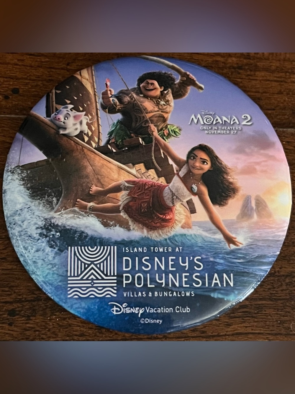 Disney Moana 2 Promotional Pin — Blue, Brown, White